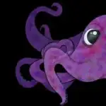 Lilaoctopus.art